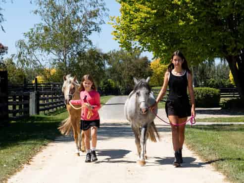 39 Mangaroa Road, Longlands