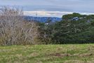 679 Ridge Road, Riverhead, Rodney, Auckland