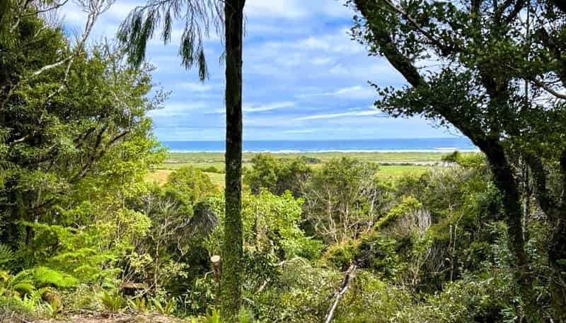 3/1290 Tanglefern Row, Charleston