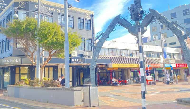 15 Cambridge Terrace , Te Aro