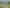 5695 West Coast Road, Springfield