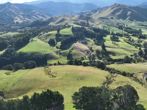 84 Falloon Settlement Road, Masterton
