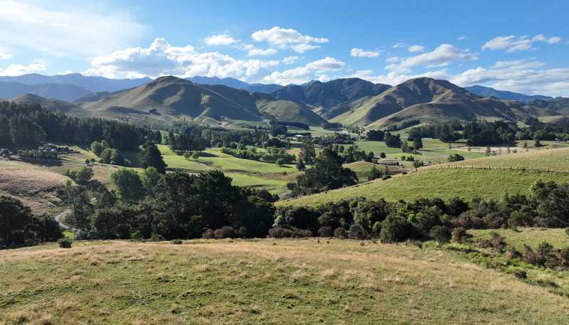 84 Falloon Settlement Road, Masterton