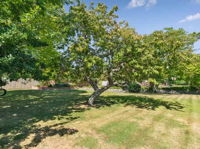 124 Essex Street, Masterton