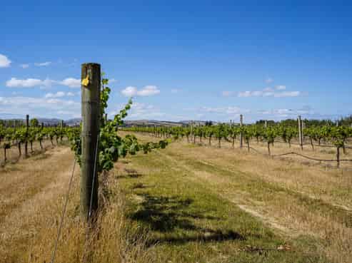 220 Omihi Road, Waipara