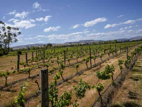 220 Omihi Road, Waipara