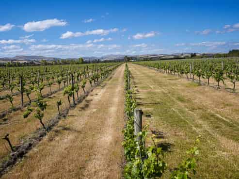 220 Omihi Road, Waipara