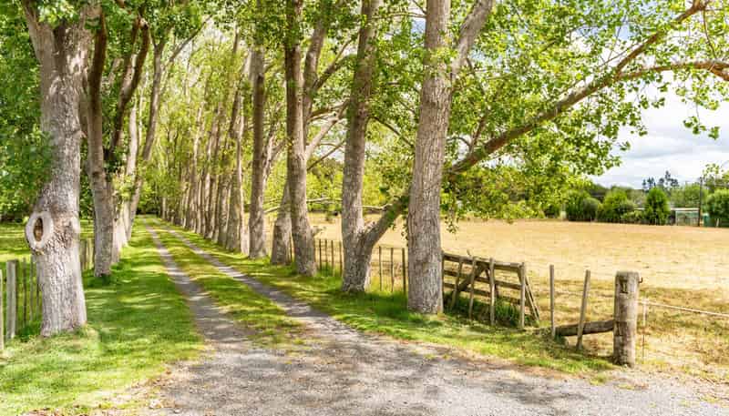 509 Kara Road, Maungatapere