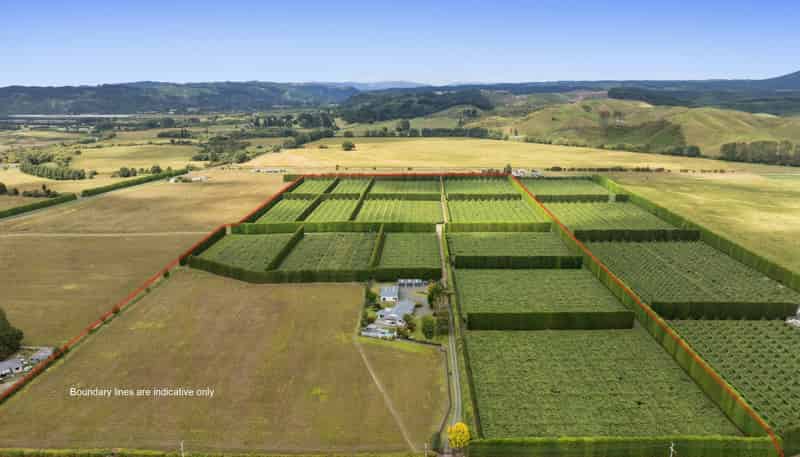 2155 State Highway 30, Te Teko