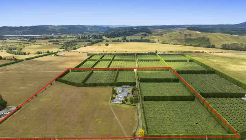 Lot 1,, 2155 State Highway 30, Te Teko