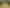 Lot 4, Cottle Hill Drive, Kerikeri