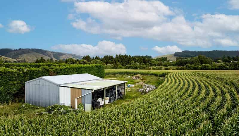1200 State Highway 1, Manakau