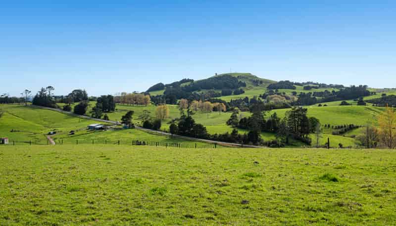 1065 Pipiwai Road, Ruatangata West