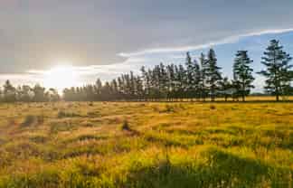 172 Stockdills Road, Amberley