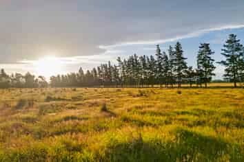 172 Stockdills Road, Amberley