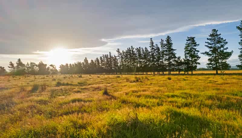 172 Stockdills Road, Amberley