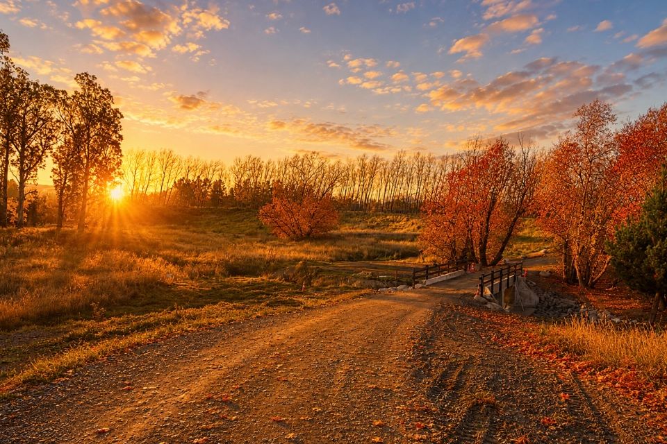 Autumn at Glenbrook - Bild 6