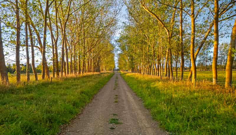 172 Stockdills Road, Amberley