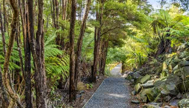 17 Korihi Drive, Swanson