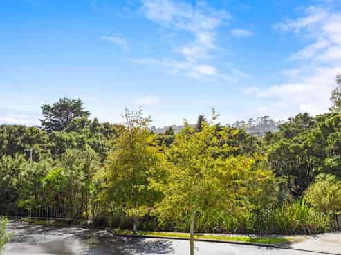 17 Korihi Drive, Swanson