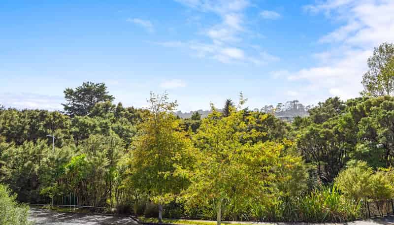 17 Korihi Drive, Swanson