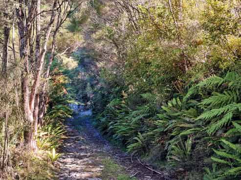  Putara Road, Eketahuna
