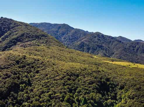  Putara Road, Eketahuna