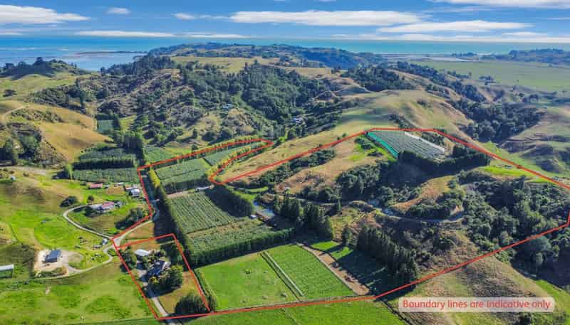 443C State Highway 2, Opotiki
