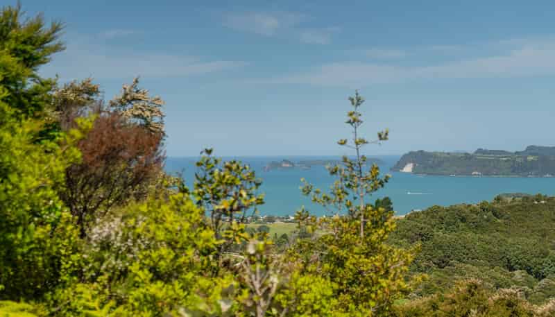 57 Tarapatiki Drive, Whitianga