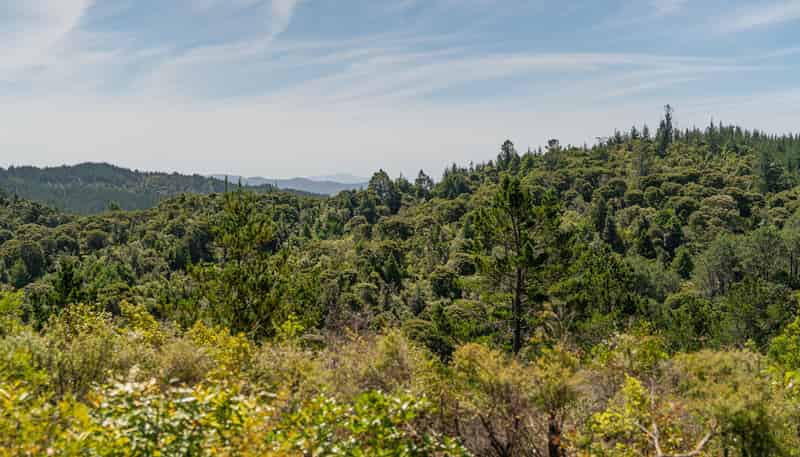 57 Tarapatiki Drive, Whitianga