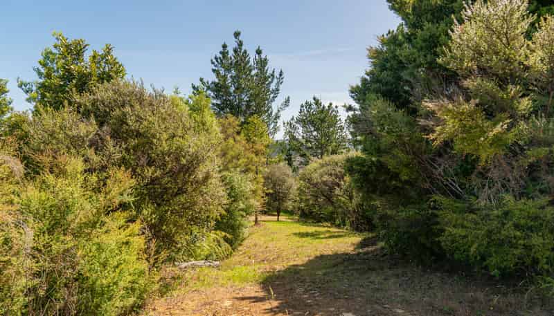 57 Tarapatiki Drive, Whitianga