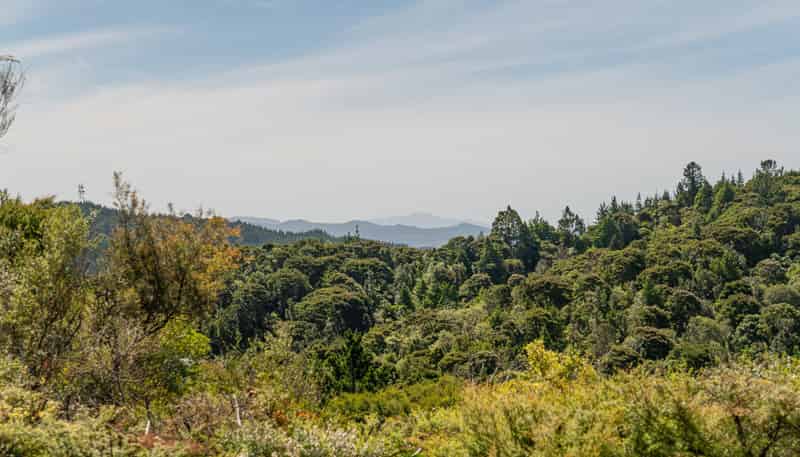 57 Tarapatiki Drive, Whitianga
