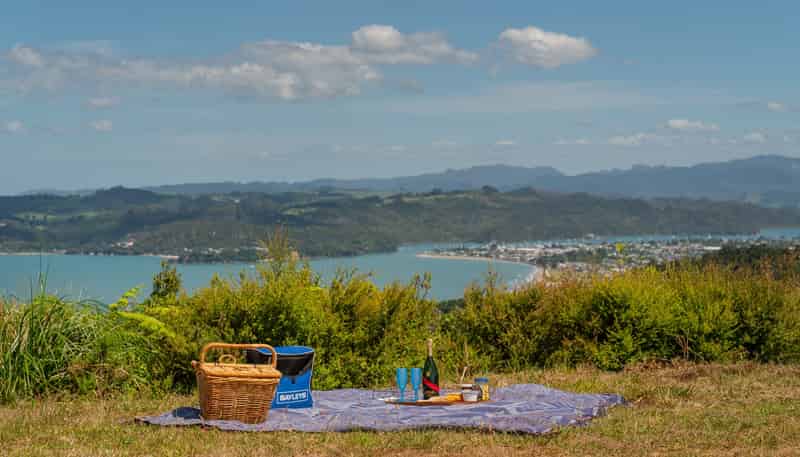 57 Tarapatiki Drive, Whitianga