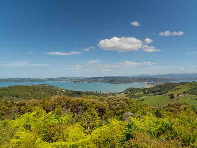 57 Tarapatiki Drive, Whitianga