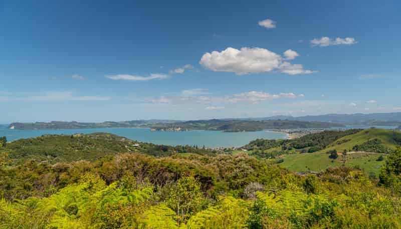 57 Tarapatiki Drive, Whitianga