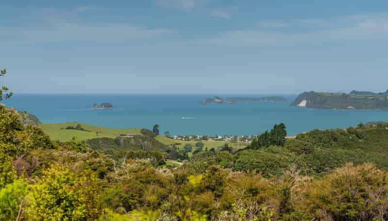 57 Tarapatiki Drive, Whitianga