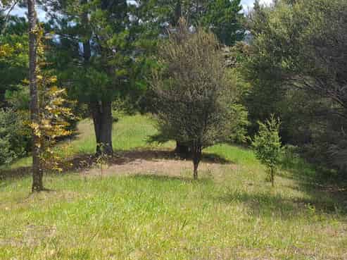 57 Tarapatiki Drive, Whitianga