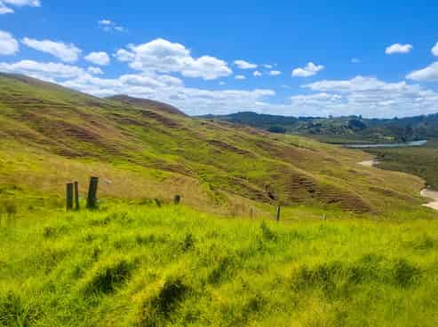  Brindle Road, Opononi