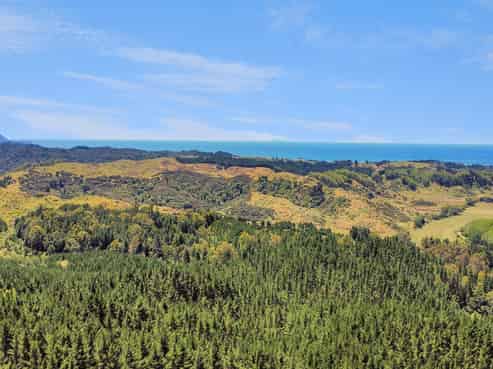 700 Burma Road, Maraetotara