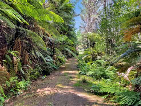 700 Burma Road, Maraetotara