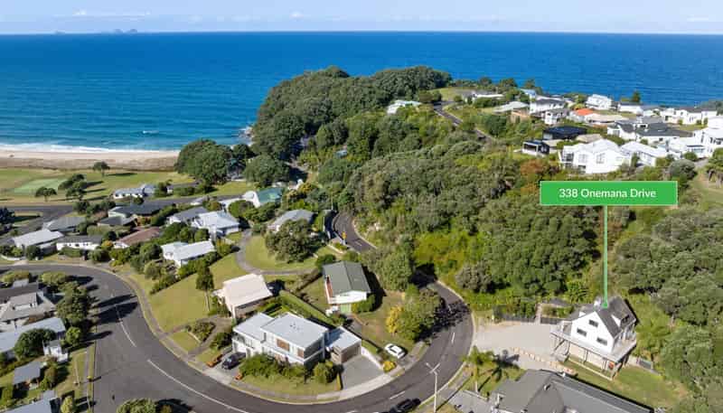 338 Onemana Drive, Onemana