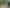 338 Onemana Drive, Onemana