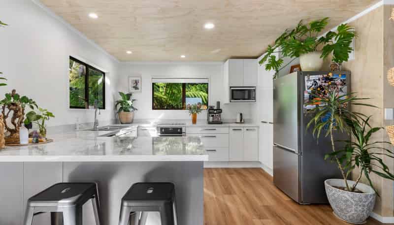338 Onemana Drive, Onemana