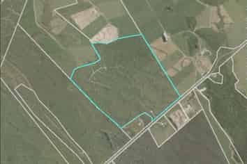 980 Wilsons Lead Road, Cape Foulwind