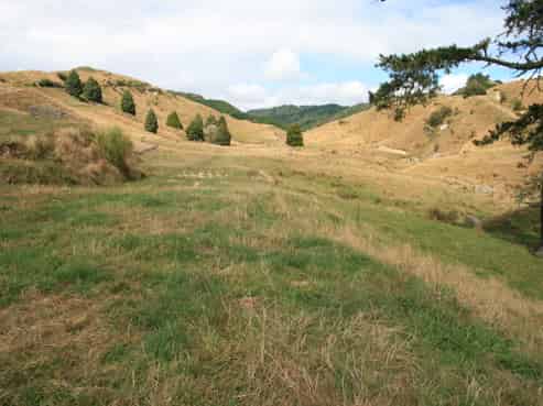 256 Mangamaire Road, Pohokura and Surrounds