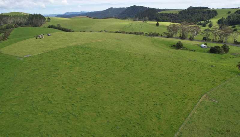  State Highway 10, Kaeo