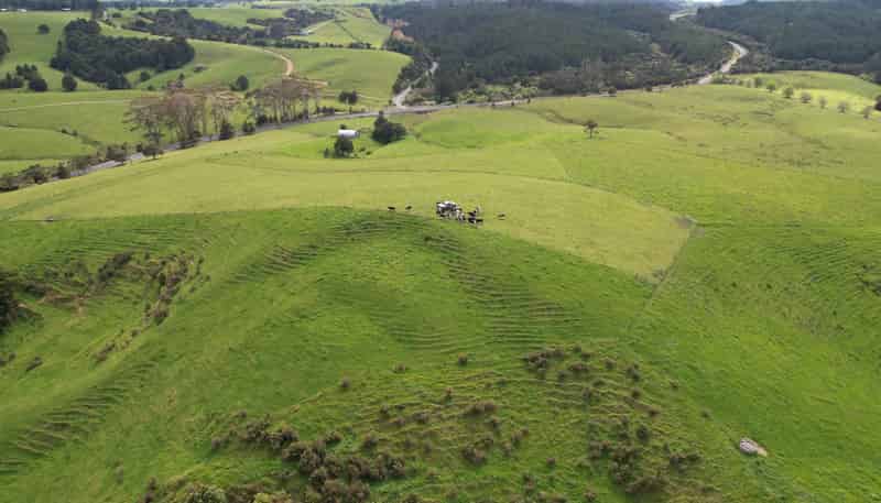  State Highway 10, Kaeo