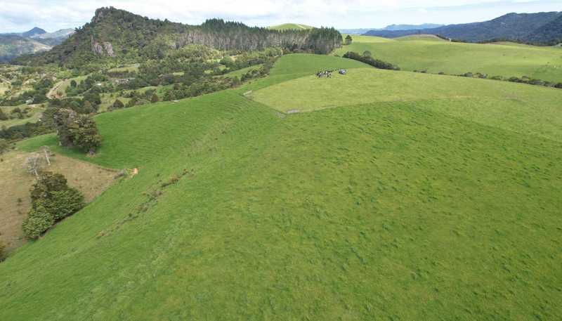  State Highway 10, Kaeo