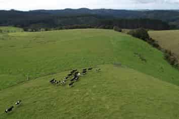  State Highway 10, Kaeo