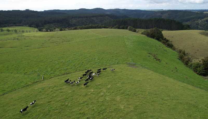  State Highway 10, Kaeo